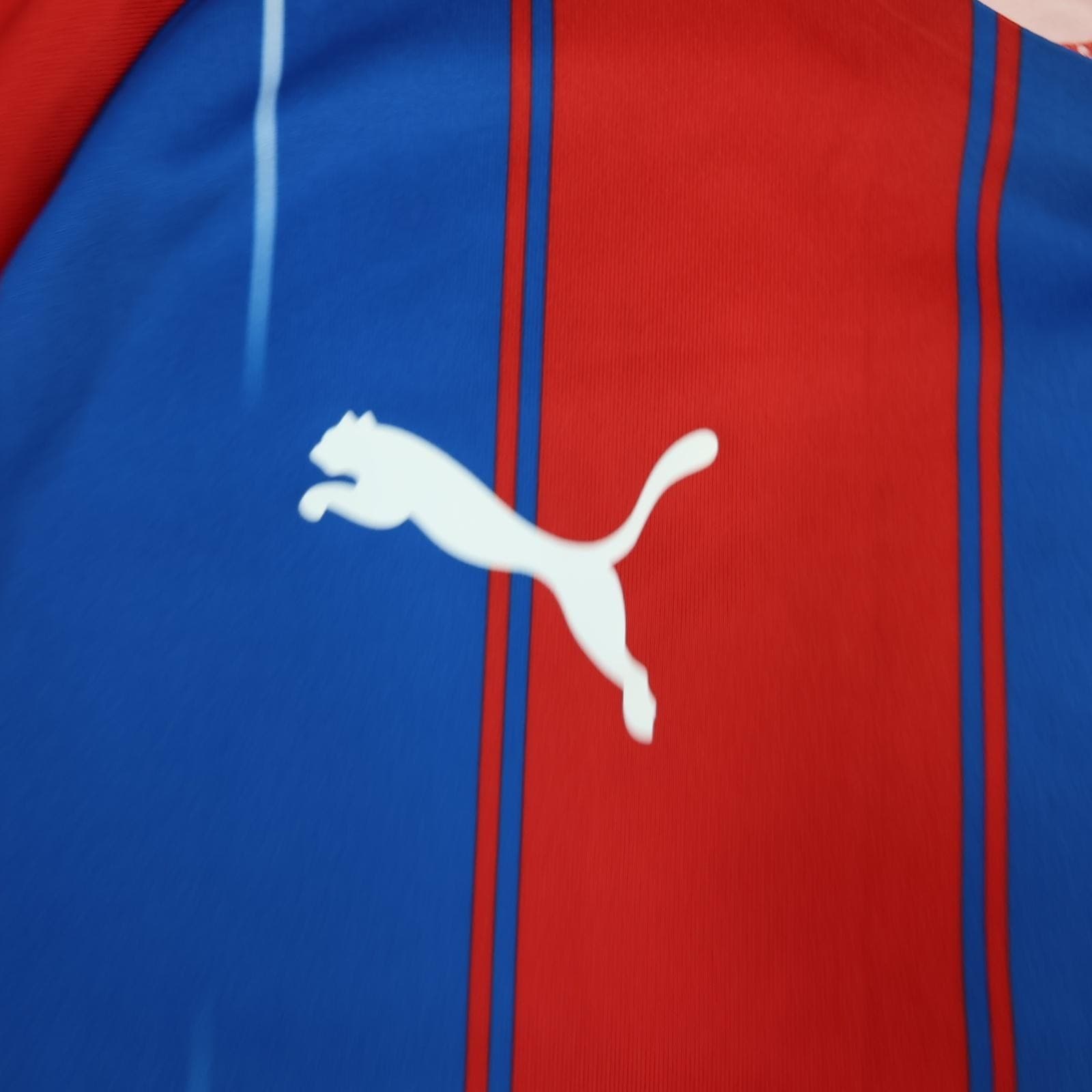 Crystal Palace Shirt Mens Large Home Multi EPL Football Puma 2019 2020 Jersey photo 5