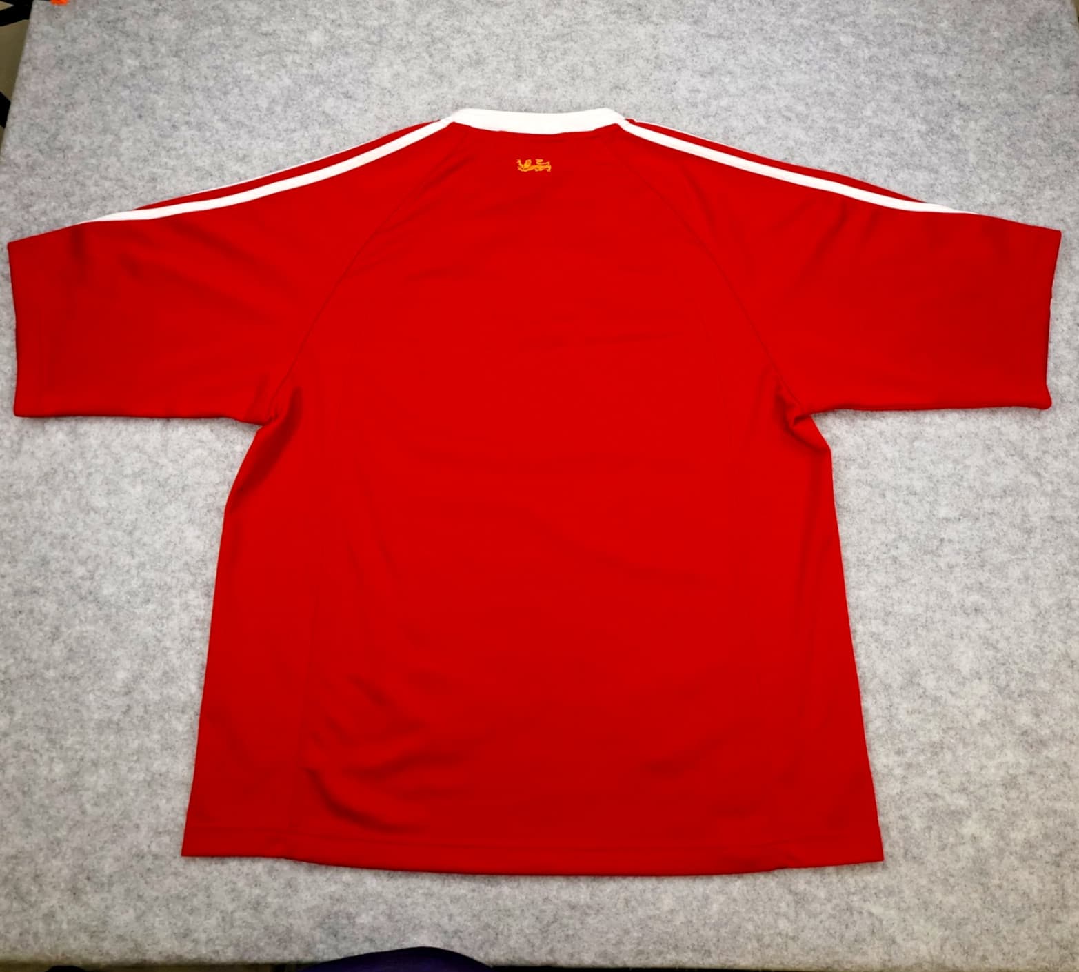Vintage British & Irish Lions Rugby Shirt Large Zurich Adidas Jersey 2005 3102 photo 2