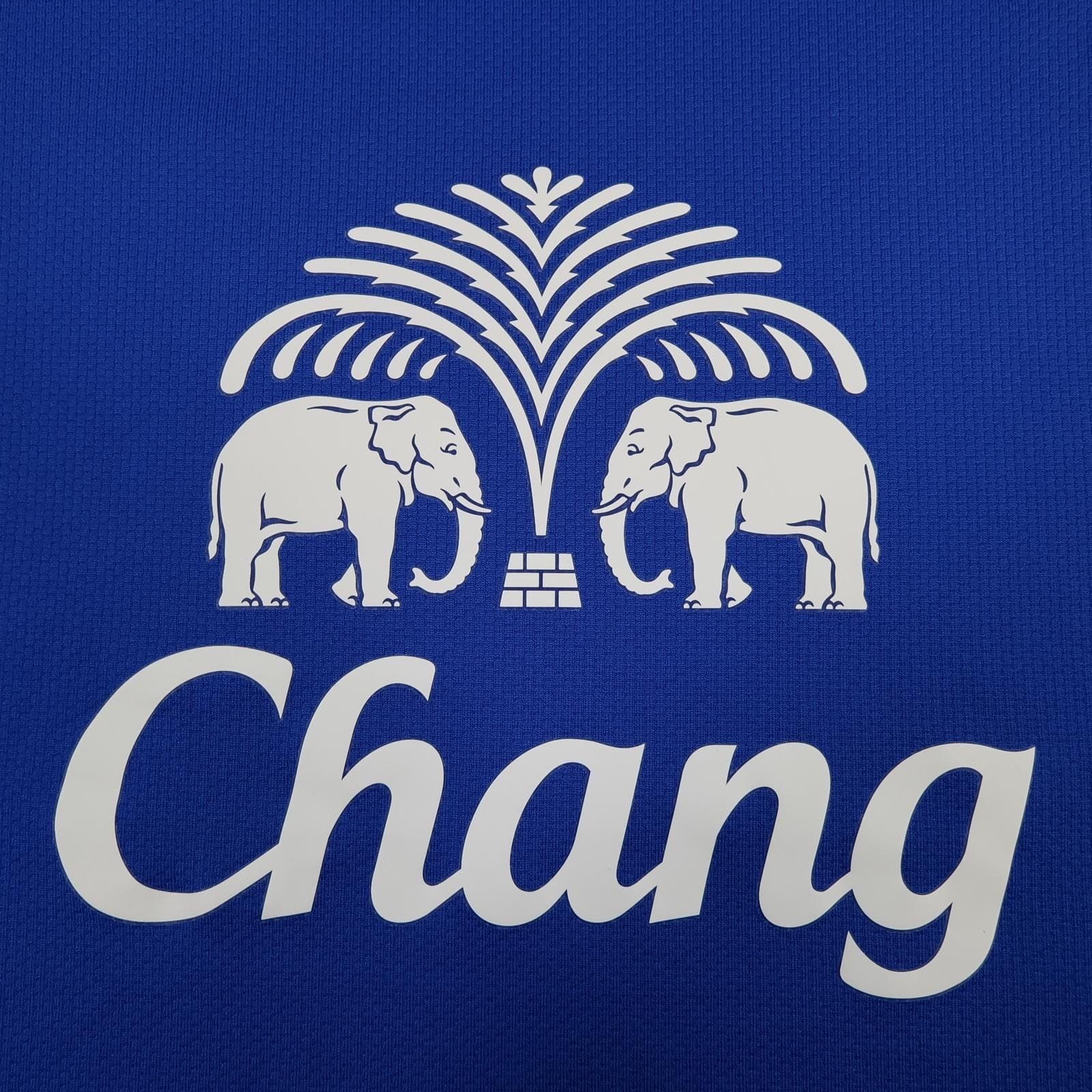 Everton Shirt Mens 2XL Blue Home 2012 2013 EPL Football Nike Chang Pienaar 22 photo 4