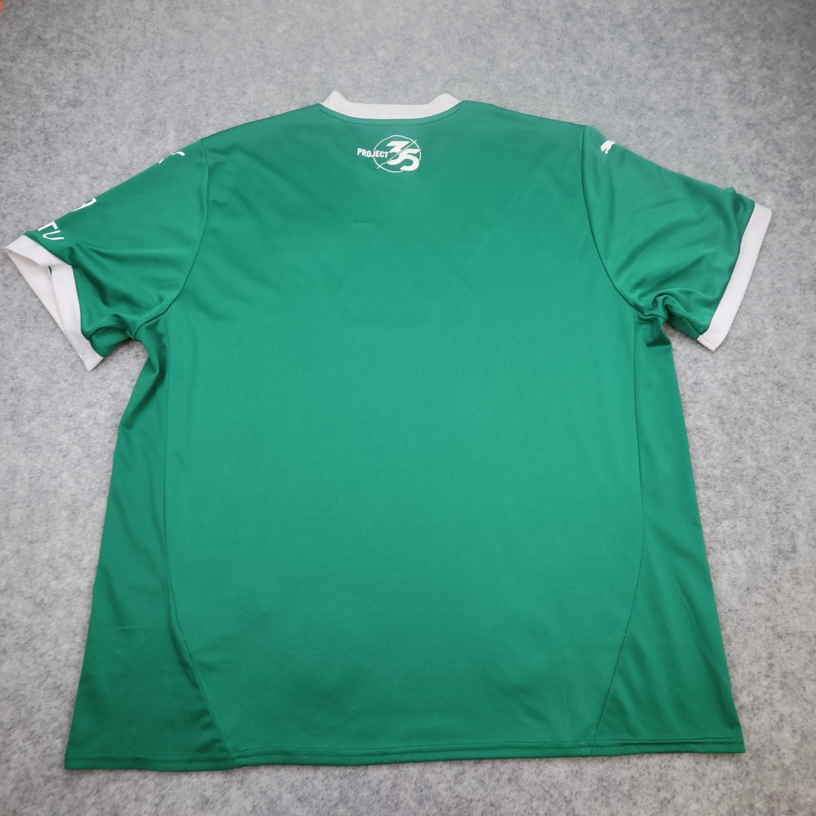 Plymouth Argyle Shirt Mens 3XL Green Home EFL 2024 2025 Puma Soccer Jersey photo 2