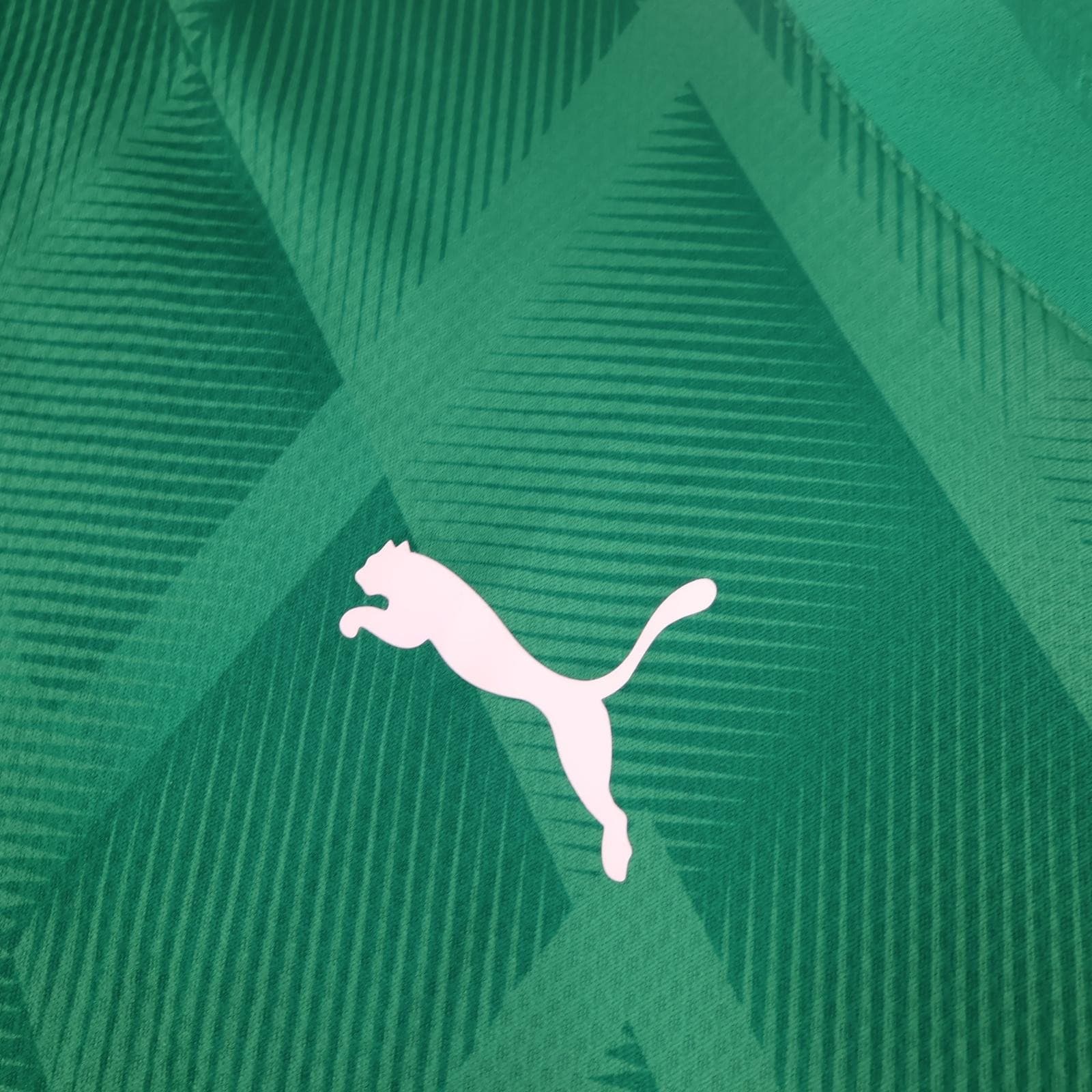 Plymouth Argyle Shirt Mens 3XL Green Home EFL 2024 2025 Puma Soccer Jersey photo 5